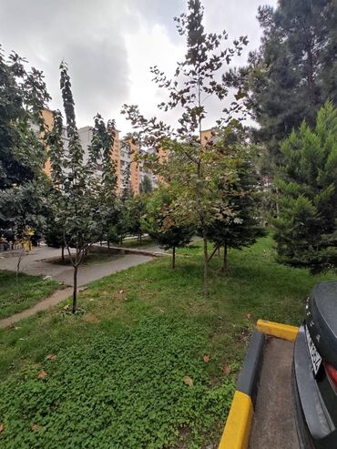 Uzunmüddətli kirayə mənzillər: Yasamal rayonu, Şərifzadə küçəsində, Abad bina, 9-mərtəbəli binanın -da lalafo.az — 19 Uzunmüddətli kirayə mənzillər: Yasamal rayonu, Şərifzadə küçəsində, Abad bina, 9-mərtəbəli binanın — 19