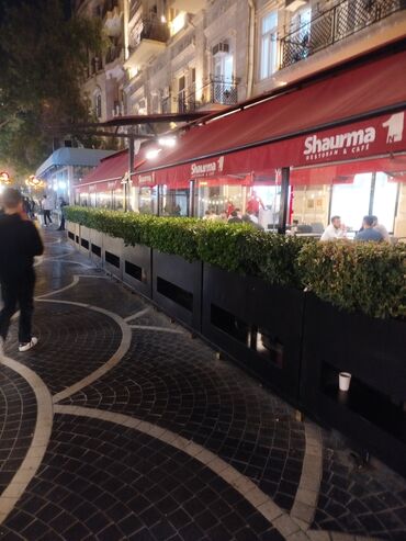 Bitkilər üçün dibçəklər: Taxta dipçəklər Bir başa sexdən.Sex qiymətinə. ♦️Endrim 2025 ☀️🌤️🌨️❄️ — 8