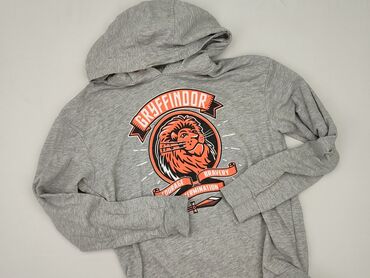 kurtka koszulowa z kapturem: Sweatshirt, Harry Potter, 14 years, 158-164 cm, condition - Perfect