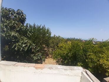 Bağ evlərinin satışı: Bakı, Görədil, 65 kv. m, 1 otaqlı, Hovuzsuz, Qaz, Su, Kanalizasiya — 16