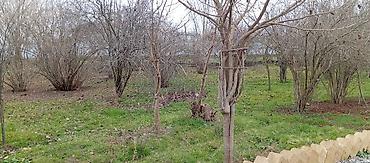 Həyət evləri və villaların satışı: 6 otaqlı, 680 kv. m, Kredit yoxdur, Orta təmir — 18