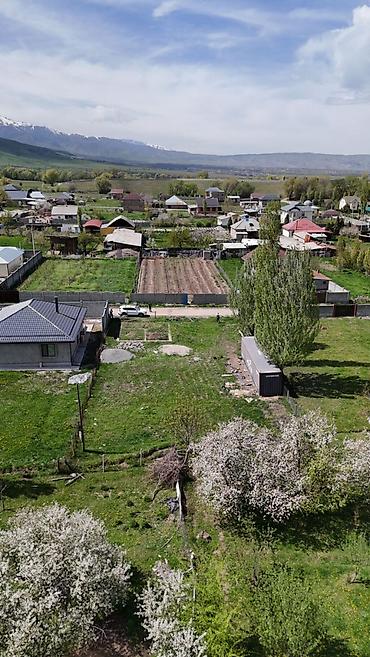 мечит: 9 соток, Курулуш, Сатып алуу-сатуу келишими, Кызыл китеп — 4