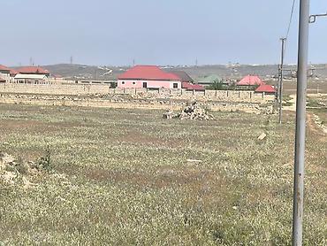 şirket: 24 sot, Tikinti, Mülkiyyətçi, Bələdiyyə — 4