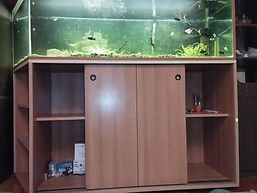 akvarium balaca: Böyük həcmli akvarium və alt dolabı - Şüşə akvarium: üç tərəfi — 4