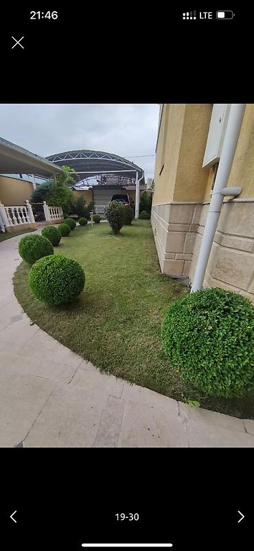 Дворники, садовники: 🌱Я Садовник Стрижка Живой изгородь,самшит,Туи,хвойные растения, Я — 19