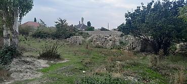 agac sekilleri: Kubiklər, Kredit yoxdur — 9