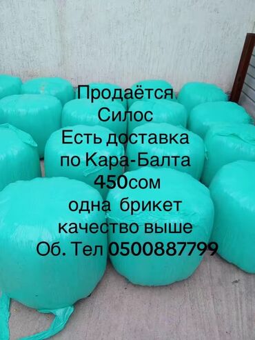 буудай сатылат: Продаю Силос с Зерном брикет по 70кг + СВЕЖИЙ Адрес г Кара-Балта