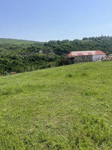 Torpaq sahələrinin satışı: 6 sot, Tikinti, Makler, Kupça (Çıxarış)