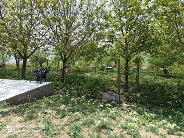 Həyət evləri və villaların satışı: 4 otaqlı, 50 kv. m, Kredit yoxdur, Yeni təmirli -da lalafo.az — 13 Həyət evləri və villaların satışı: 4 otaqlı, 50 kv. m, Kredit yoxdur, Yeni təmirli — 13