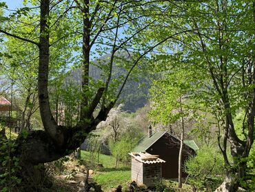 Günlük kirayə evlər: 122 kv. m, 3 otaqlı, Kombi, Qaz, İşıq -da lalafo.az — 19 Günlük kirayə evlər: 122 kv. m, 3 otaqlı, Kombi, Qaz, İşıq — 19