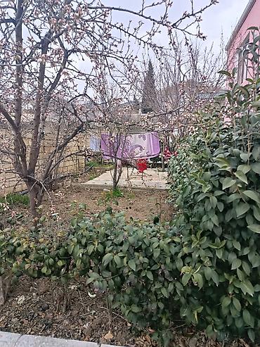Həyət evləri və villalar: Həyətyanı sahəsi olan yaşayış evi həyəti və köməkçi tikililərlə - — 2