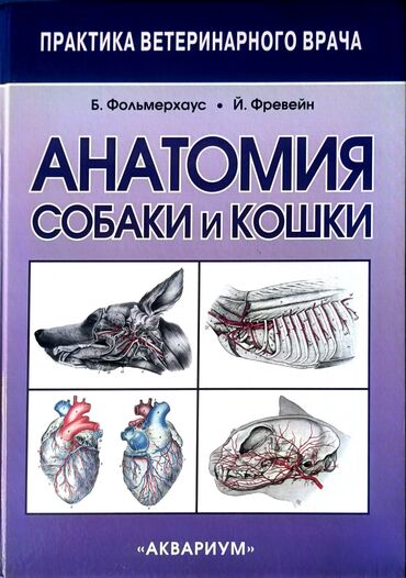 Книги, журналы, CD, DVD: Анатомия собаки и кошки Б/у Состояние отличное!! Издательство