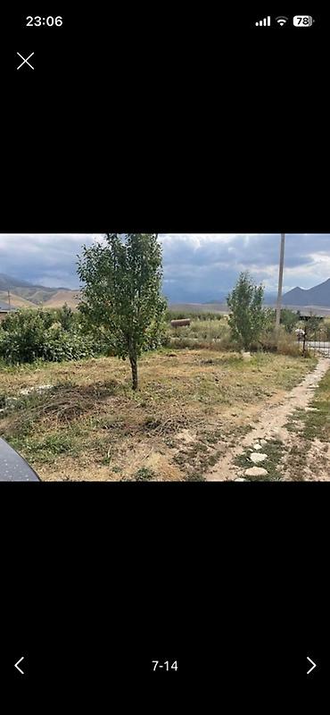 Теплицы: Тепличный комплекс каркасного типа - Арочные теплицы на металлическом — 7