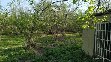 Bağ evlərinin satışı: Xudat, 170 kv. m, 3 otaqlı — 26