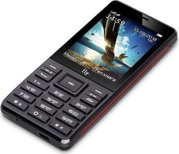 маленькие телефоны купить: Fly 2040, цвет - Черный