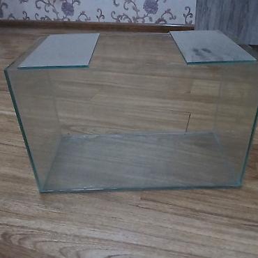 Şüşə akvarium - Material: şəffaf, qalın şüşə - Düzbucaqlı forma