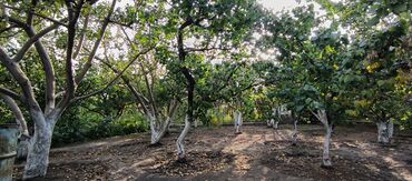 Продажа участков: 10 соток — 14