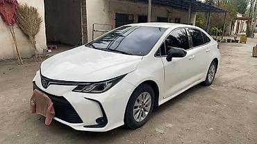 Toyota: Toyota Corolla: 2020 г., 1.4 л, Автомат, Гибрид, Седан — 1