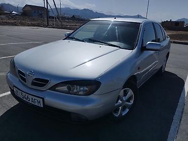 Продажа авто: Nissan Primera: 2000 г., 1.8 л, Механика, Бензин, Седан — 4