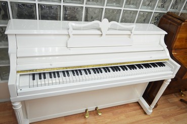 Pianino - Almanya istehsalı professional akustik pianoMüxtəlif marka