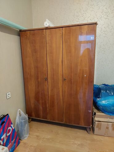 вешалка настенная для одежды: İşlənmiş, 2 qapılı Düz dolab, Dolab-asılqan, Malayziya