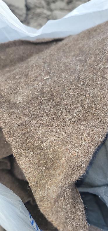 Пальто: Шинель солдатская — 3