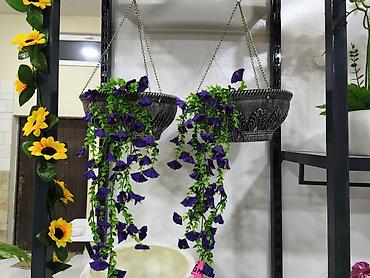 suni bitki: Asma dekorativ güldanlar – zəncirli - Material: bərk plastik korpus — 1