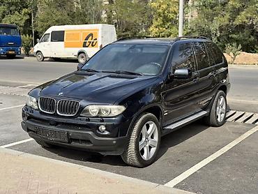BMW: BMW X5: 2006 г., 3 л, Автомат, Дизель, Кроссовер — 3