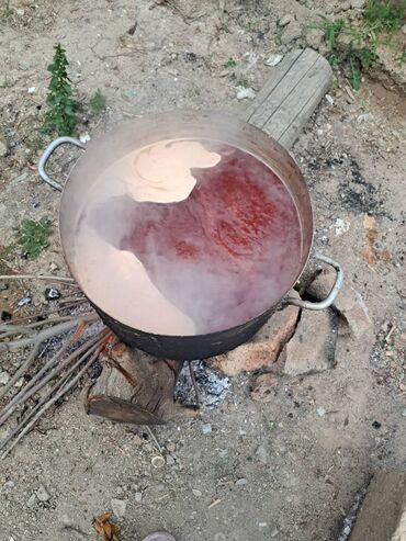 Digər tibbi məhsullar: Şam qozası və Keçibuynuzu bitkisindən hazırlanmış doşablar satılır — 6