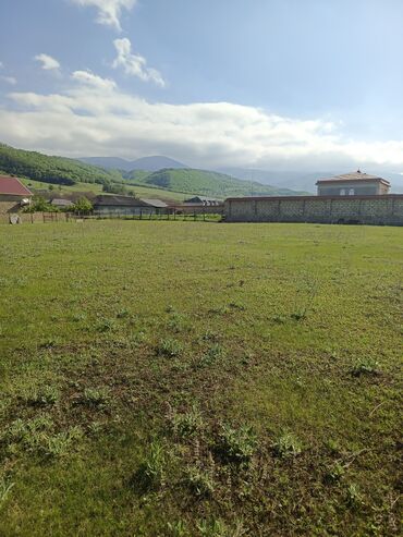 сад: Tikinti