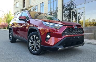 стекла на заказ: Toyota RAV4: 2022 г., 2.5 л, Автомат, Гибрид, Кроссовер
