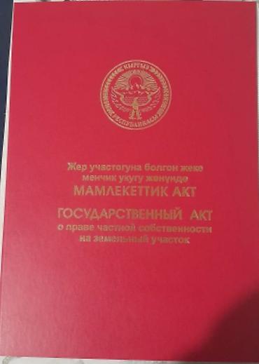 5: 45 соток, Красная книга — 1