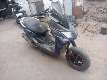сму геология: Скутер Jet Moto в темно-синем цвете с черными элементами и ветровым