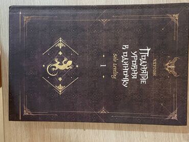 книга javascript: Новелла соло левелинг/поднятие уровня в одиночку. Состояние идеальное