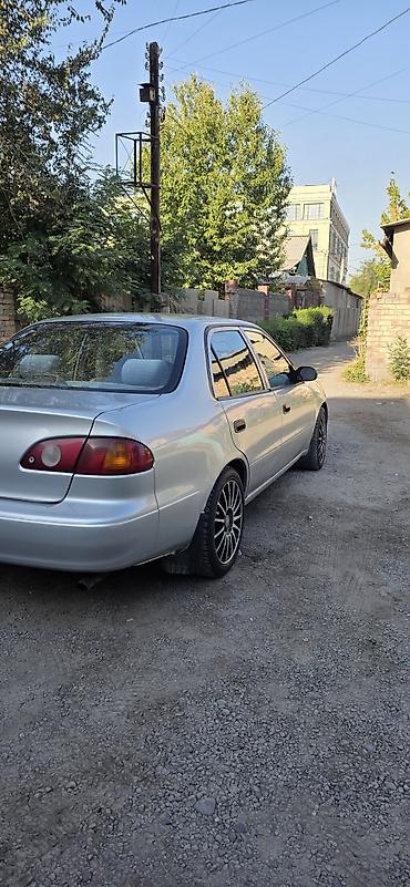 m 5: Toyota Corolla: 2000 г., 1.8 л, Автомат, Бензин, Седан — 6
