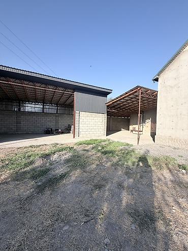 племенные хозяйства в кыргызстане: 🏡 ПРОДАЁТСЯ ДОБРОТНЫЙ ДОМ НА БОЛЬШОМ УЧАСТКЕ В СОКУЛУКЕ 📍Сокулук — 7