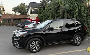 outback 2008: Subaru Forester: 2019 г., 2.5 л, Автомат, Бензин, Кроссовер — 5