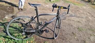 Шоссейные велосипеды: Шоссейный велосипед, Giant, Рама M (156 - 178 см), Б/у — 2