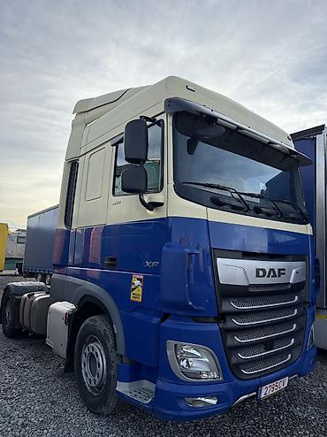 Тягачи: Тягач, DAF, 2019 г., Тентованный — 12