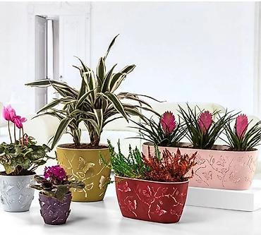plants: Цветочные горшки Лотки, Висячие горшки, Прямоугольные горшки — 5