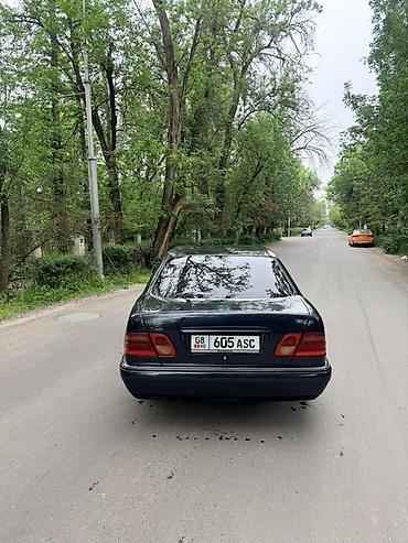 кузов евро: Mercedes-Benz E-Class: 1996 г., 2.8 л, Автомат, Бензин, Седан — 6