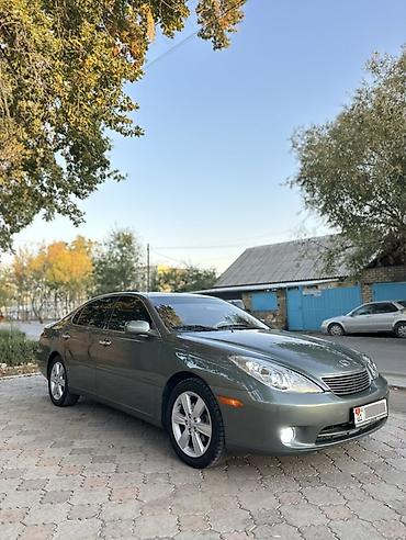 Lexus: Lexus ES: 2005 г., 3.3 л, Автомат, Бензин, Седан — 2