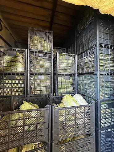 Продажа коттеджей и домов: 🔷 Продаётся дом с участком 15,8 соток с готовым бизнесом 📍 с. Кожомкул — 5