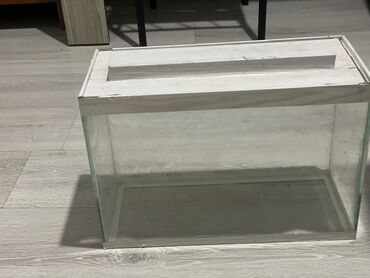 Akvariumlar: Dördbucaq akvarium, Boş, 20 l, Ünvandan götürmə — 2