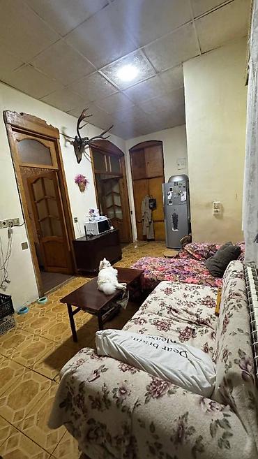 malakan: Bakı, 2 otaqlı, Köhnə tikili, m. Sahil, 60 kv. m — 7
