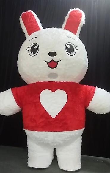 yun corab: Tam bədən maskot kostyumları – tədbirlər və promoaksiyalar üçün — 2