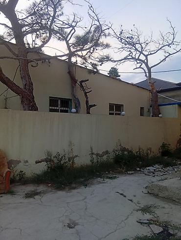 cay evi kiraye: Açıq hava məkanı və yeməkxana sahəsi - Geniş həyət və giriş qapısı — 3
