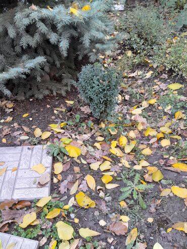 квартира для мероприятий: 3 комнаты, Собственник, Без подселения, С мебелью частично