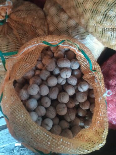 Сухофрукты, орехи, снеки: Продаю грецкие орехи 13 мешков цена 100сом кг