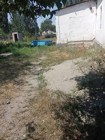 черная речка: Продаётся жилой дом с приусадебным участком. - Одноэтажный дом из — 10